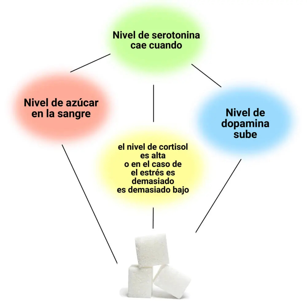 Adicci n Al Az car Causas S ntomas Tratamiento Y Consejos Adicci n Al Az car Causas S ntomas Tratamiento Y Consejos